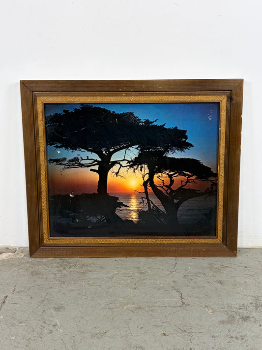Cuadro Lone Cypress – Costa California
