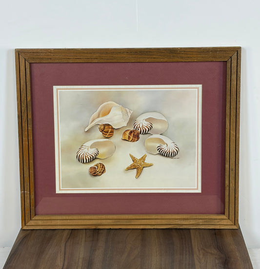 Cuadro Marino – Conchas y Estrella de Mar