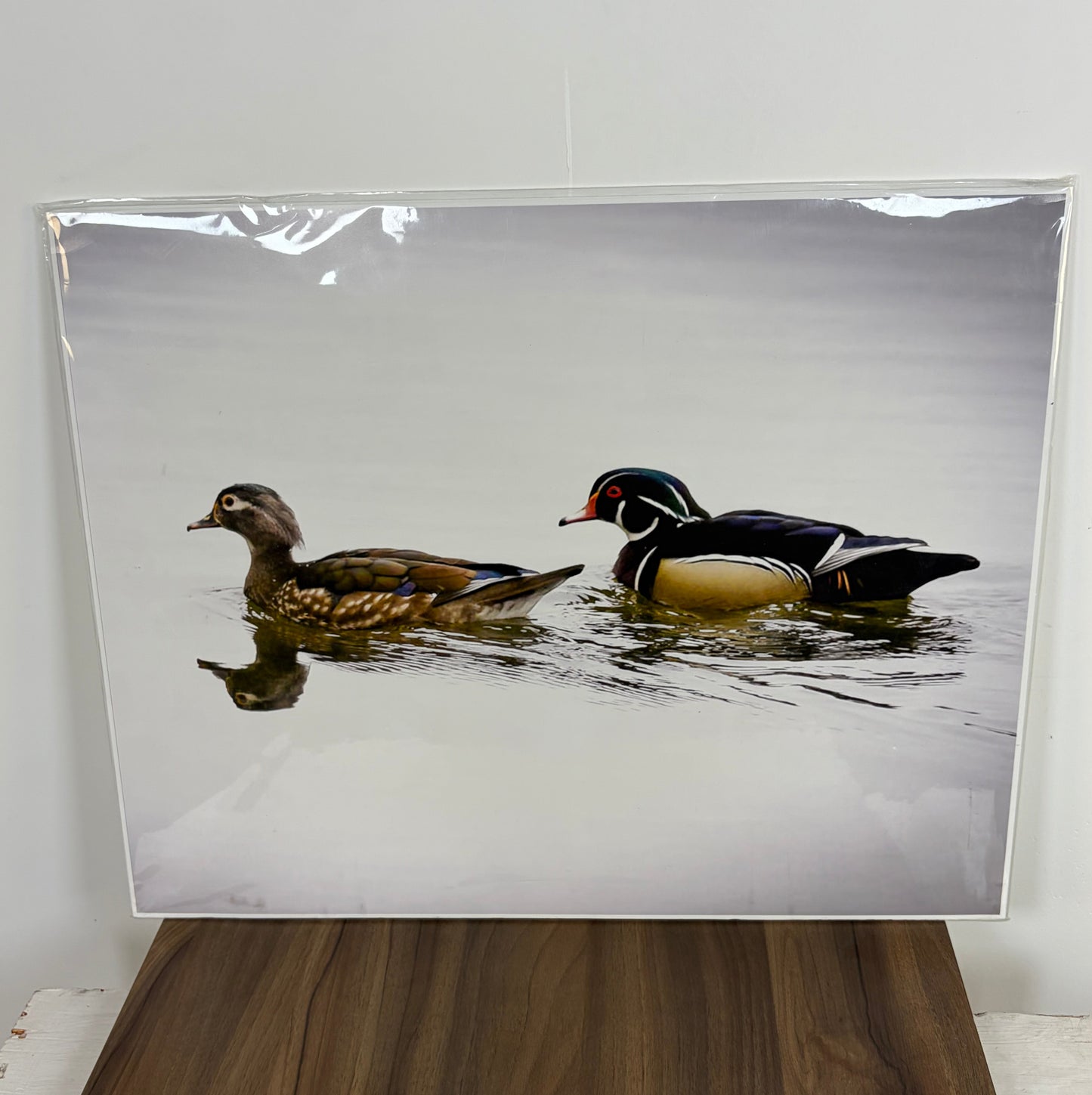 Impresión "Just Ducky" – Rusty Frentner