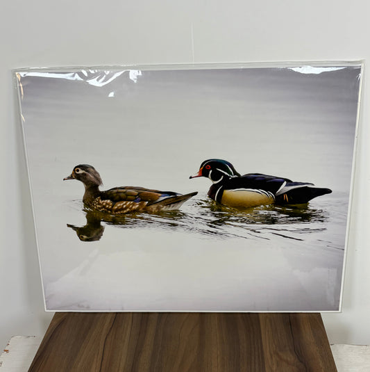 Impresión "Just Ducky" – Rusty Frentner